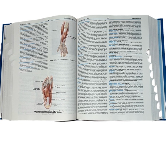Mosby's Dictionary of Medicine, Nursing and Health Professions Hard Bound 7th Ed - Picture 7 of 11